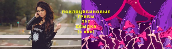 ГАЛЛЮЦИНОГЕННЫЕ ГРИБЫ Волосово