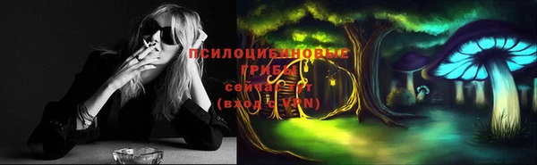 ГАЛЛЮЦИНОГЕННЫЕ ГРИБЫ Волосово