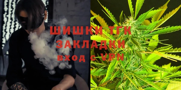дживик Верея